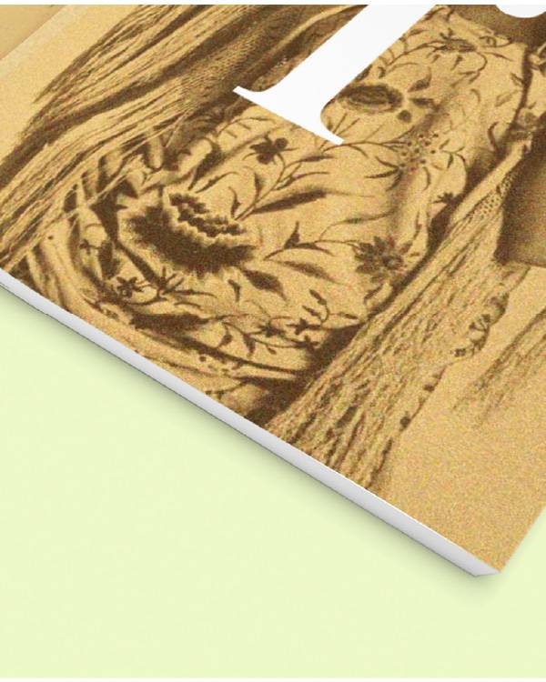 expectativa copia-80-min